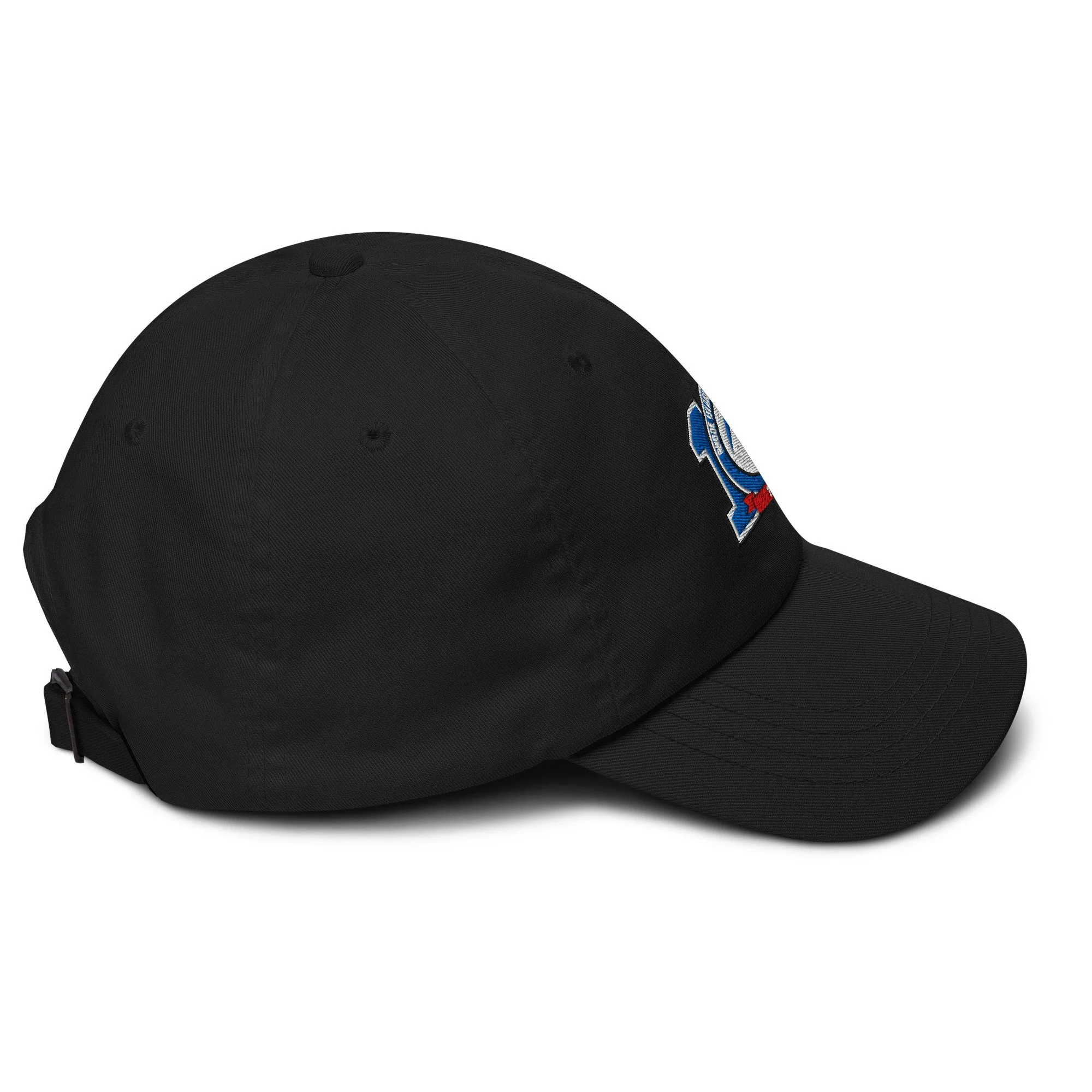 classic-dad-hat-black-right-686fc01453049.jpg
