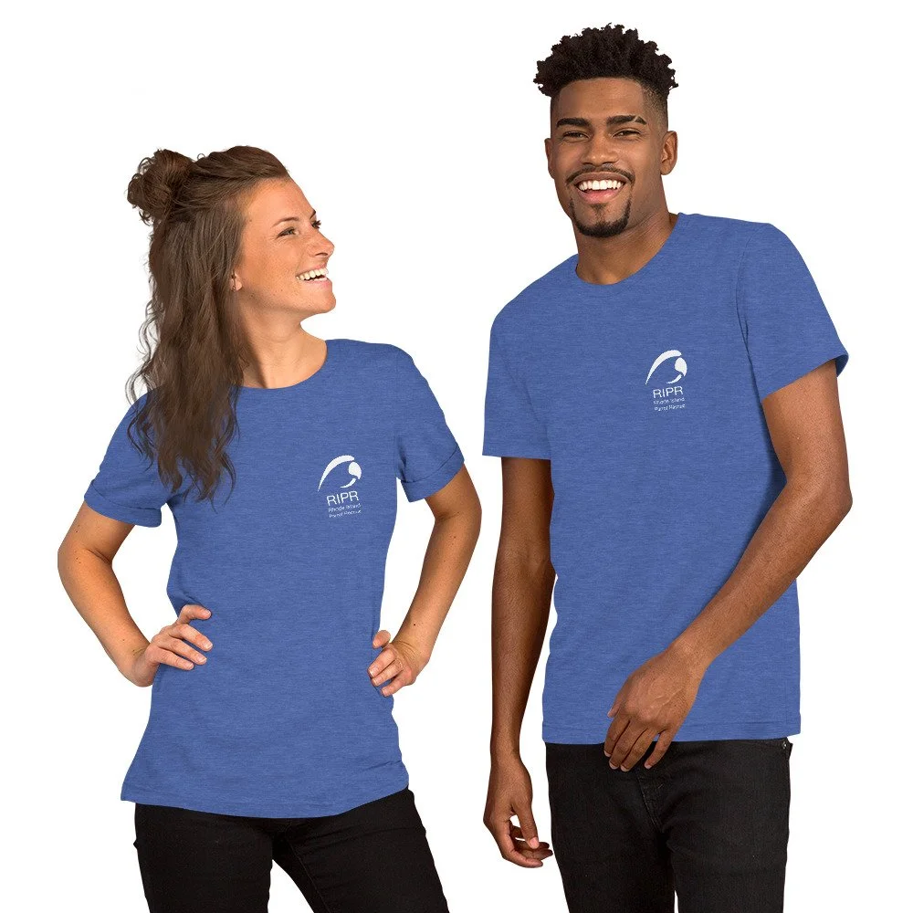 unisex-staple-t-shirt-heather-true-royal-front-68d278b442a92.jpg
