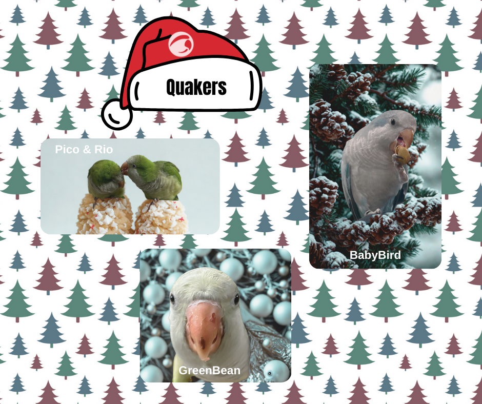Quakers.png