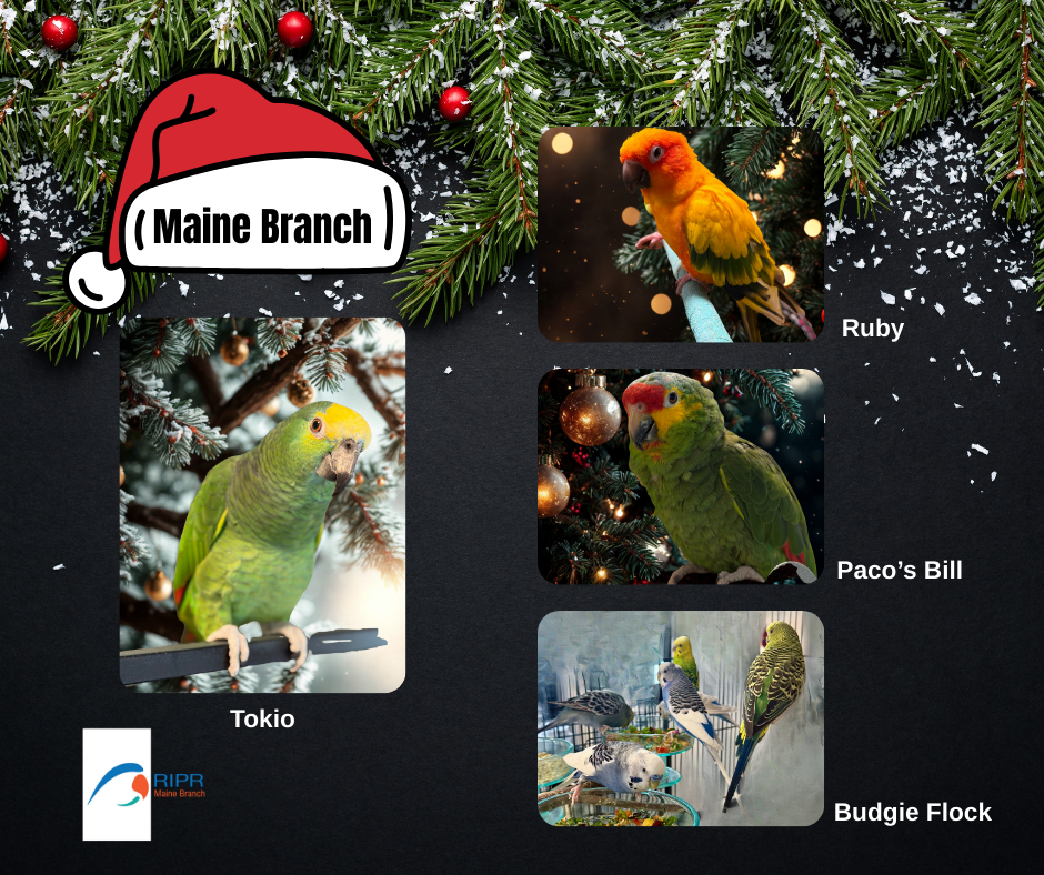 Maine Branch 25.png