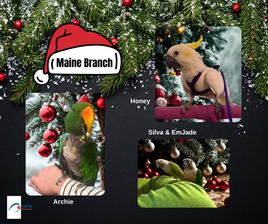 Maine Branch 25 (2).png