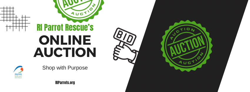 RIPR's 2026 Online Auction
