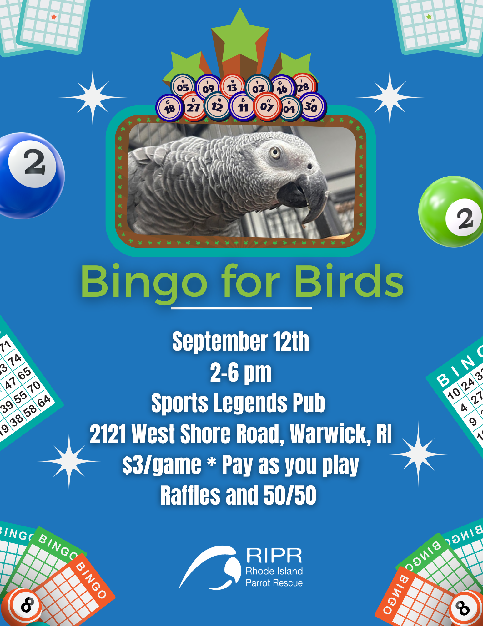 Bingo for Birds