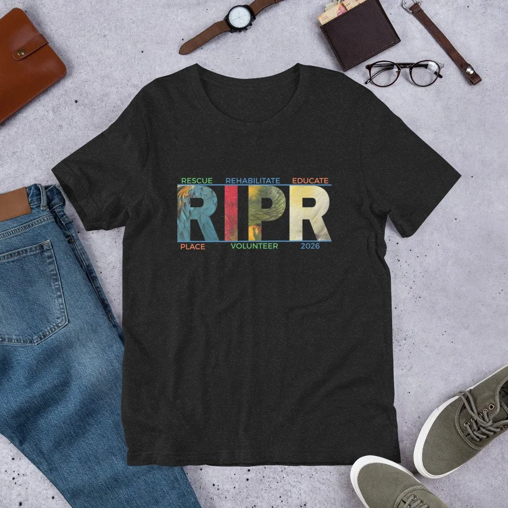 unisex-staple-t-shirt-black-heather-front-6a83b15bba429.jpg