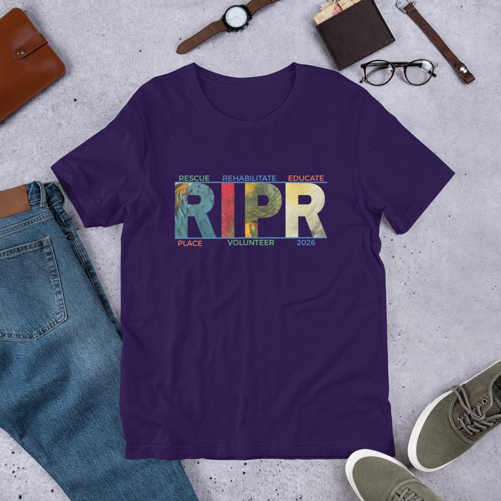 unisex-staple-t-shirt-team-purple-front-6a83b15bbdaaf.jpg