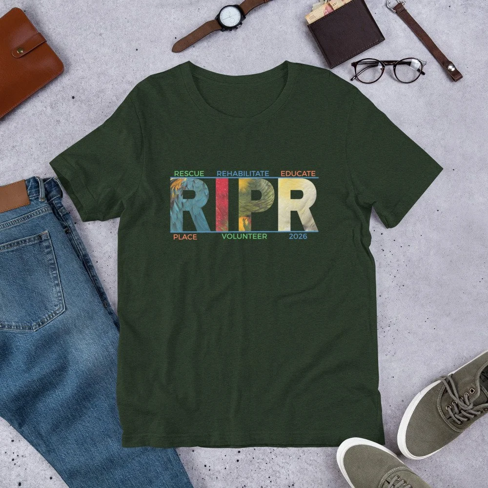 unisex-staple-t-shirt-heather-emerald-front-6a83b15bbf31a.jpg