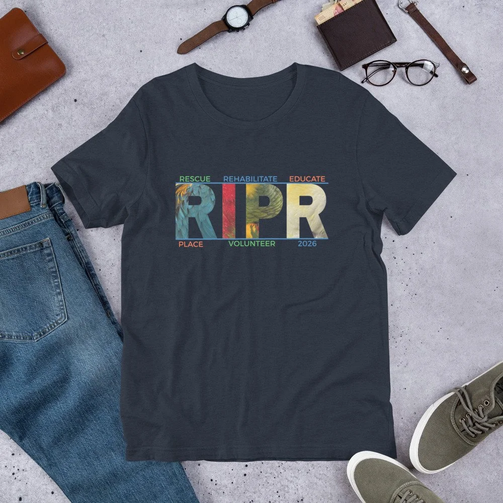 unisex-staple-t-shirt-heather-navy-front-6a83b15bc12af.jpg