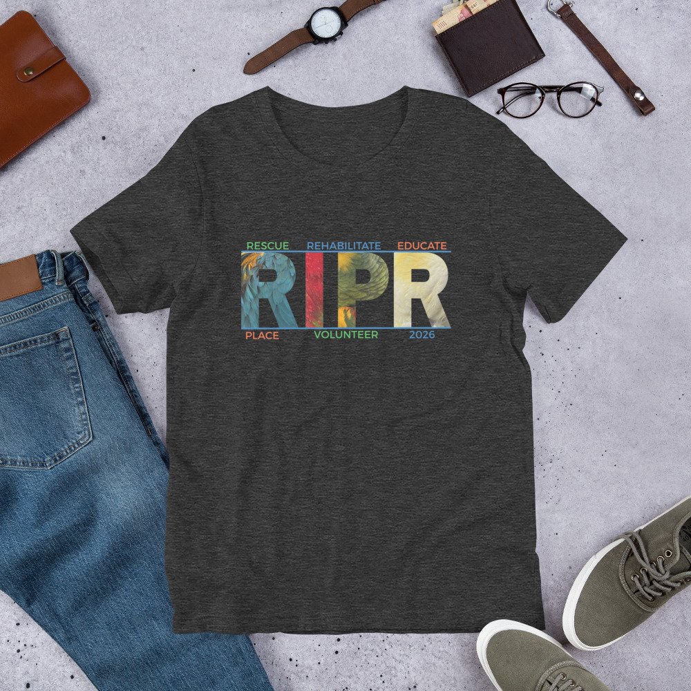 unisex-staple-t-shirt-dark-grey-heather-front-6a83b15bc4d74.jpg