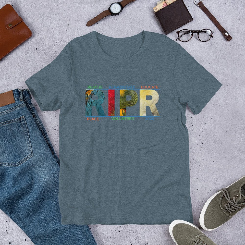 unisex-staple-t-shirt-heather-slate-front-6a83b15bcf8ae.jpg