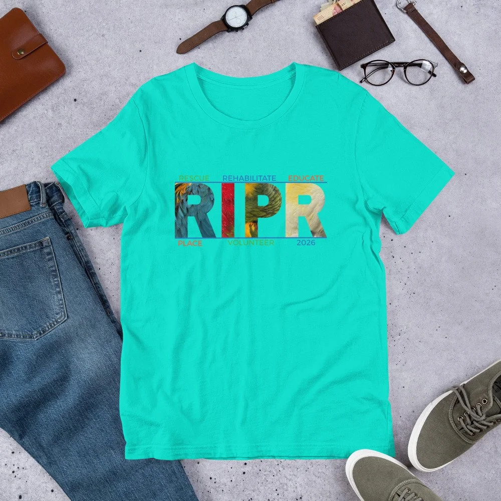 unisex-staple-t-shirt-teal-front-6a83b15bd9b50.jpg