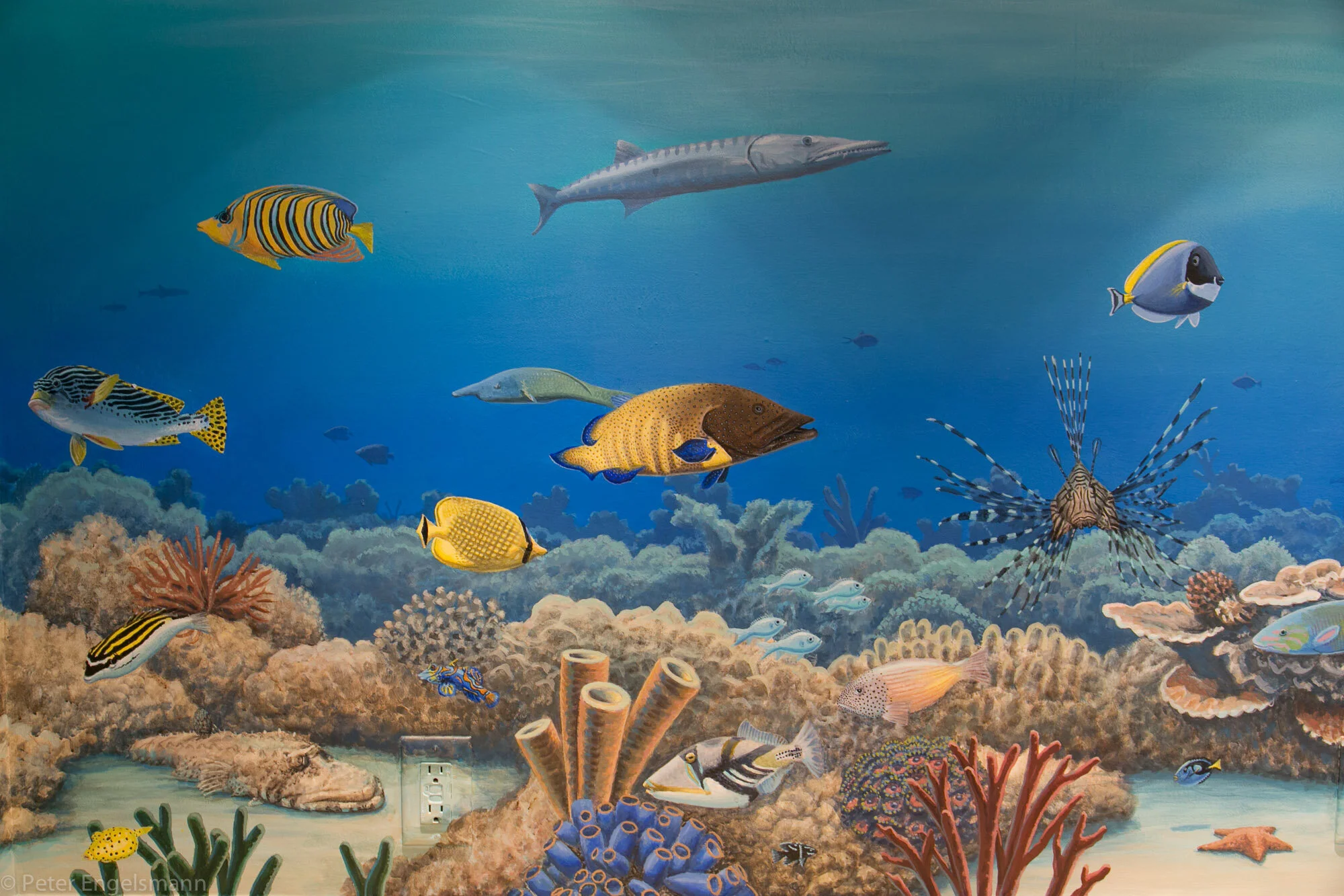 Under the Sea Ocean Mural Peter Engelsmann Murals
