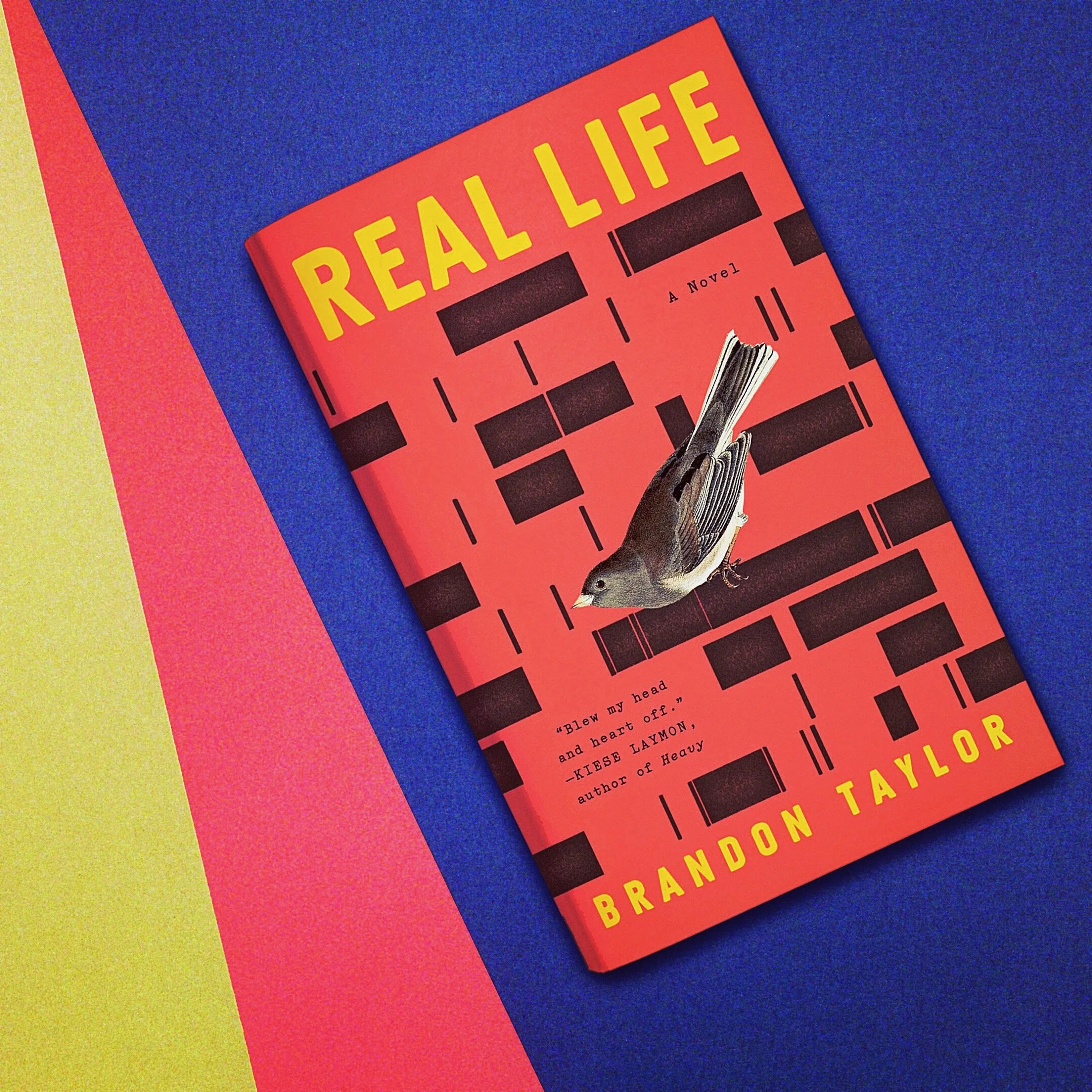 Real Life - Brandon Taylor