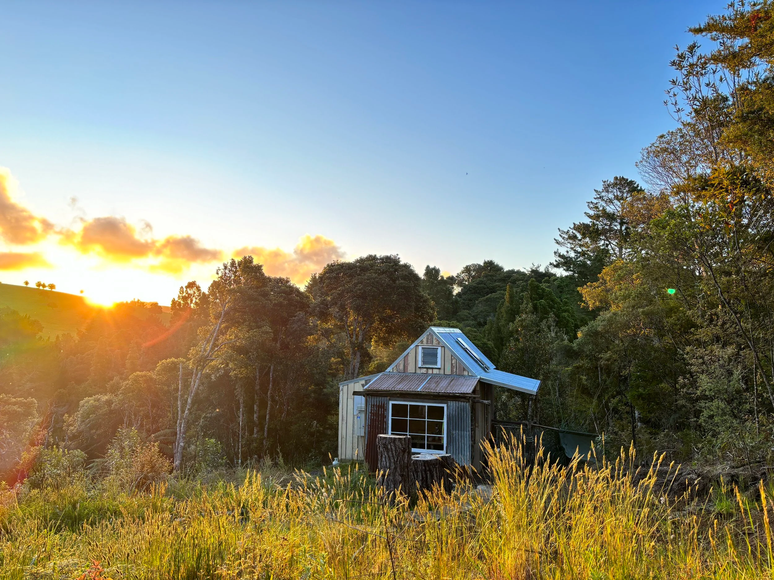 A small wooden house with a metal roof in a grassy field at sunset, surrounded by trees and hills.