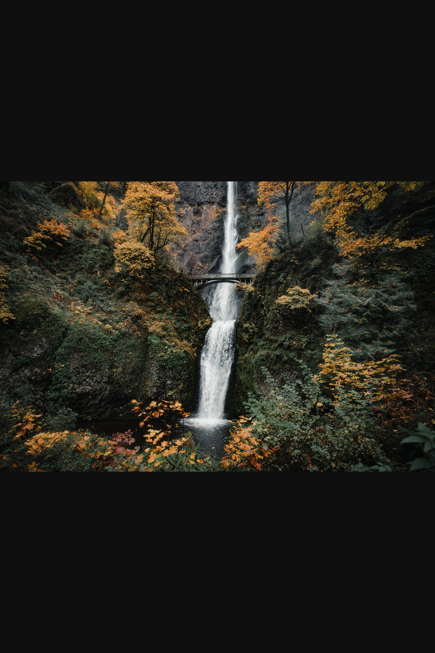 Multnomah Falls I