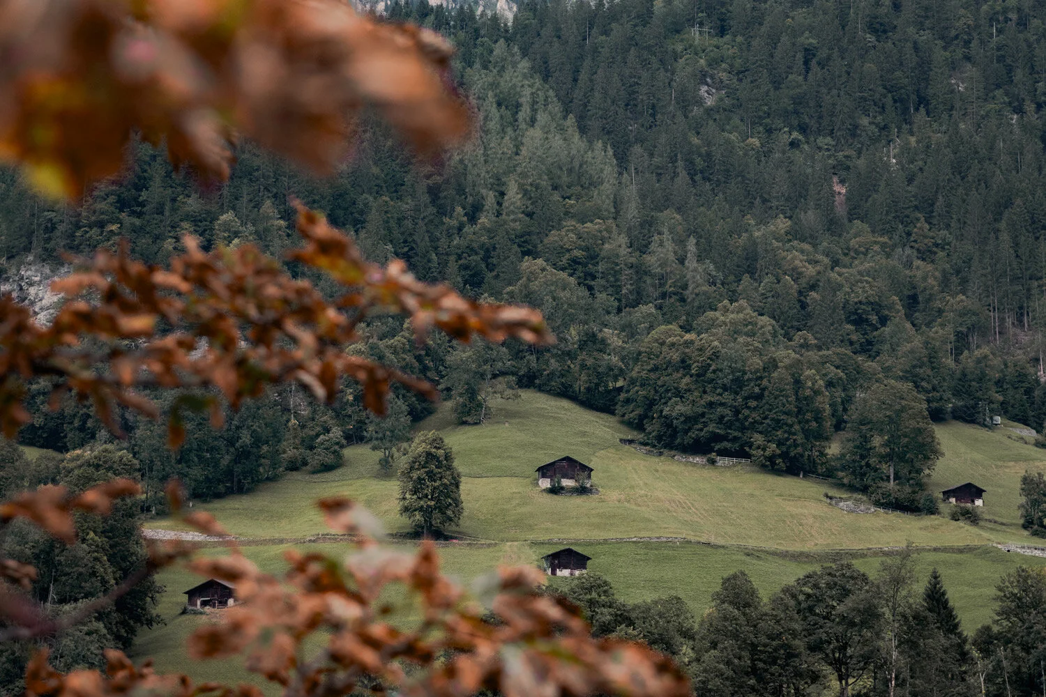 Lauternrunnen-Hillside-WS.jpg