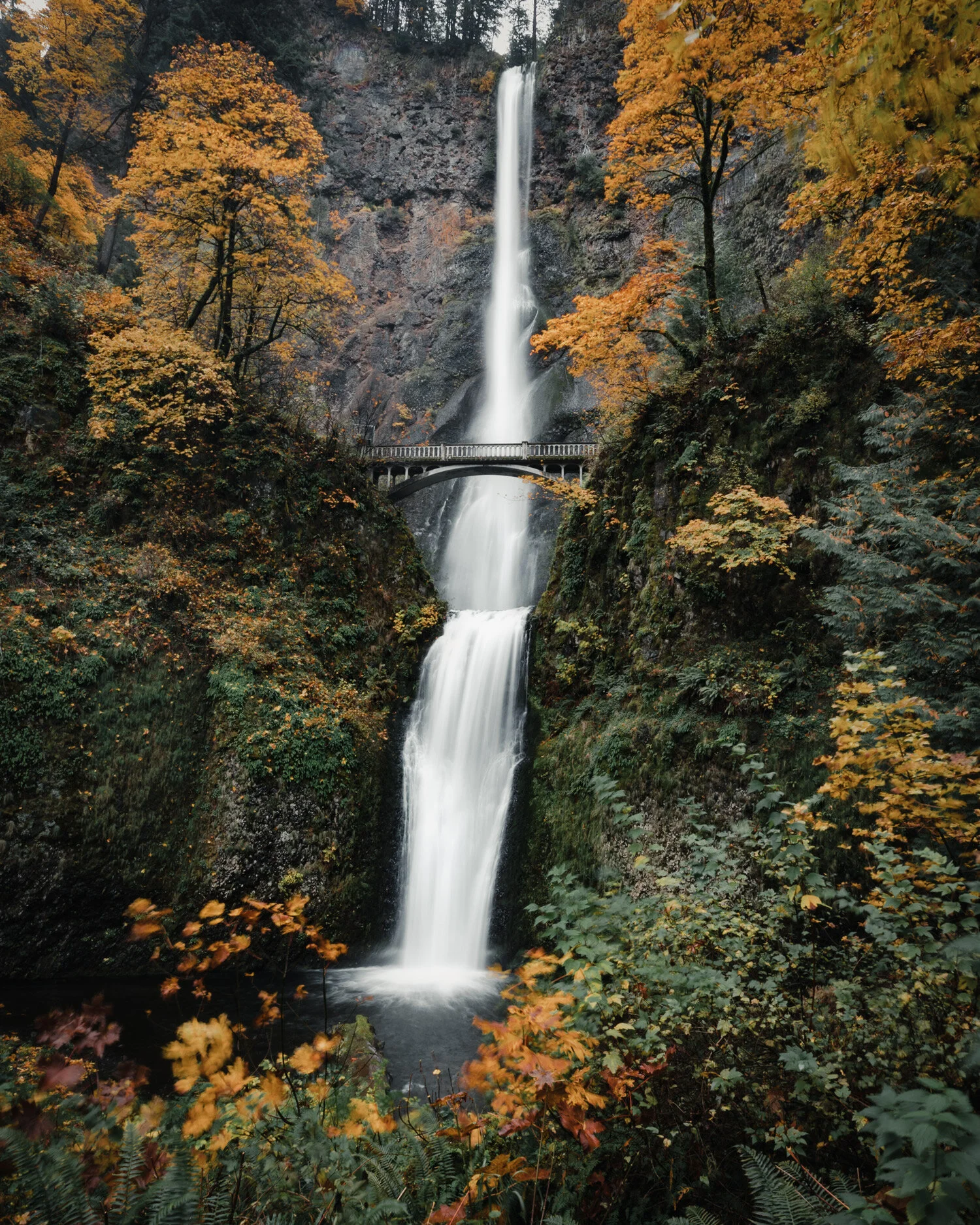 Multnomah Falls II
