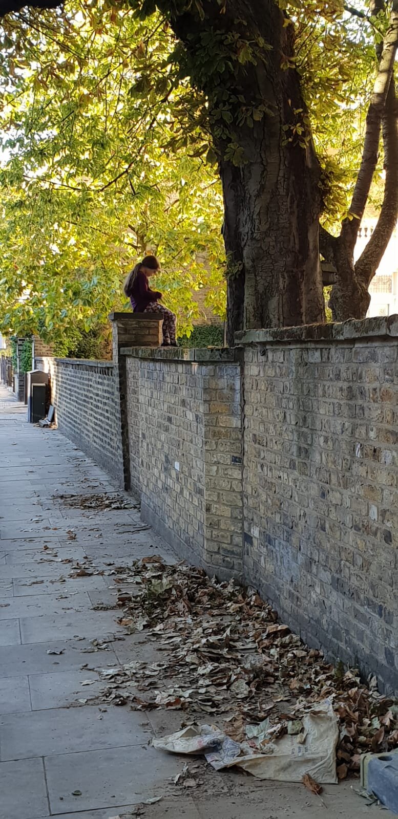 Completed works the Regents Park Terrace