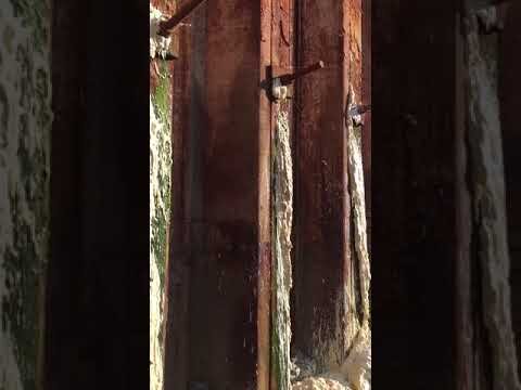 Leaking coastal piles, 2/2: leaks sealed with PU resin