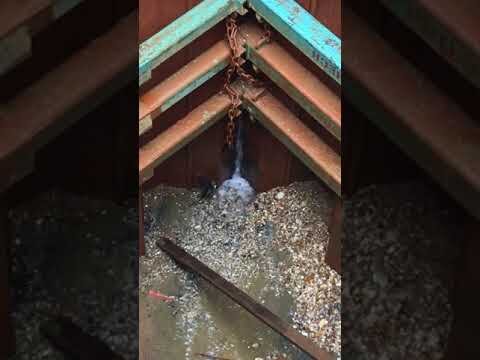 Daedalus (1), before: water ingress through sheet piling at bottom of shaft