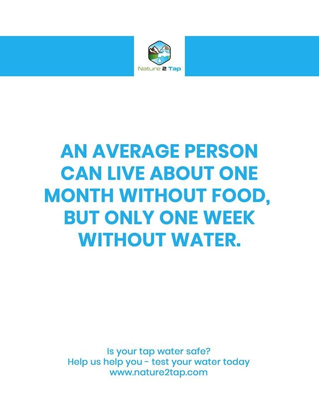 According to the EPA⁠, when in survival mode and without any other option, the average person could survive up to one entire month without any food - however only survive up to a maximum of 7 days without water. You could argue that water is the sing