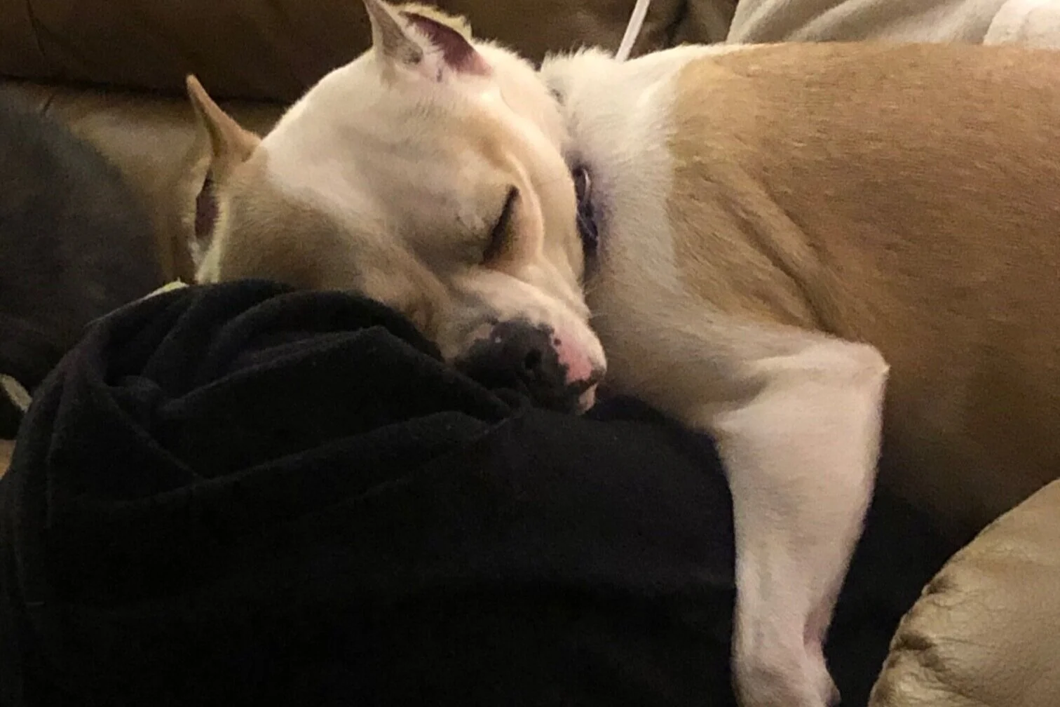Exhausted from a long day of editing