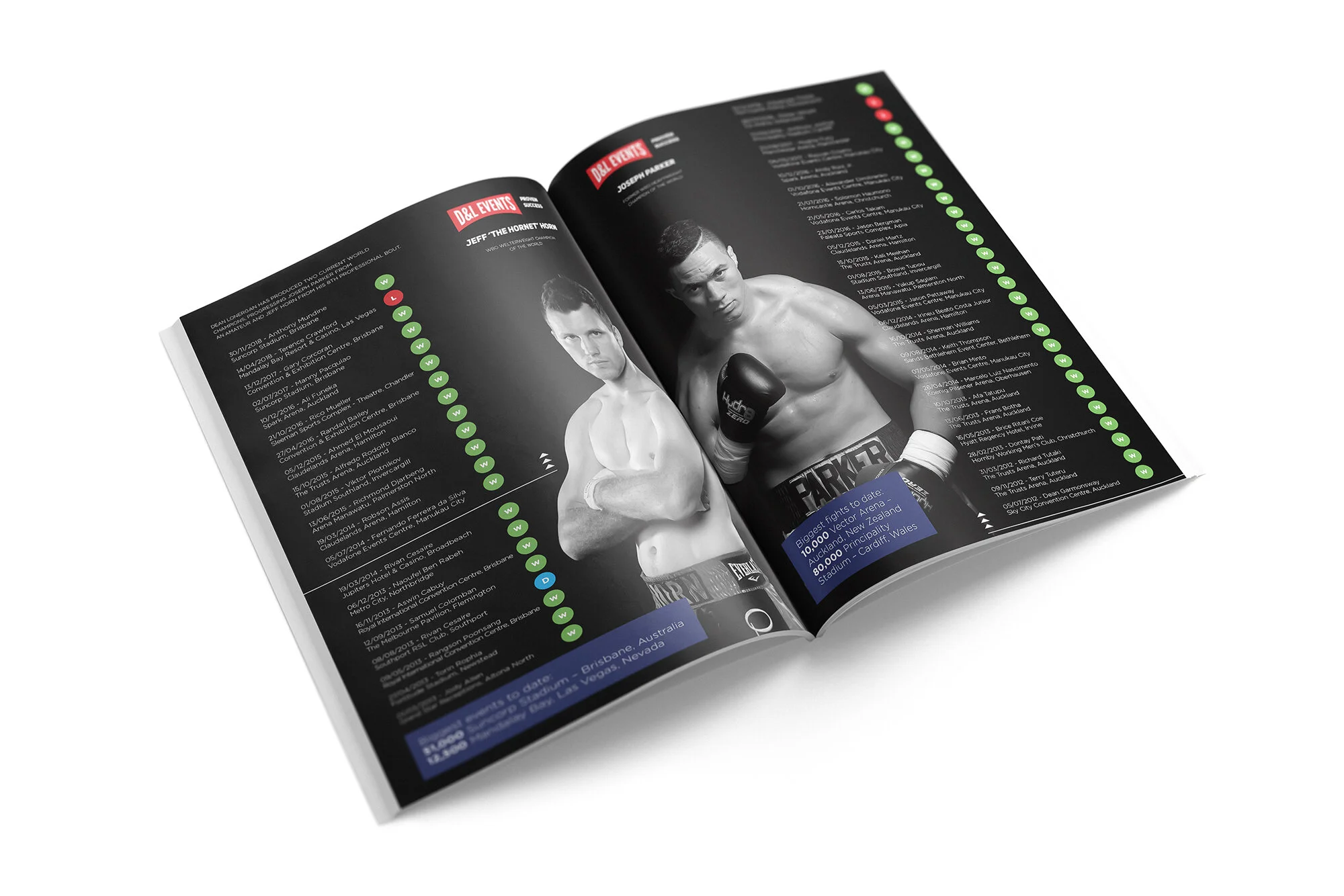 Graphic Design Mockup - D&L - Boxing.jpg