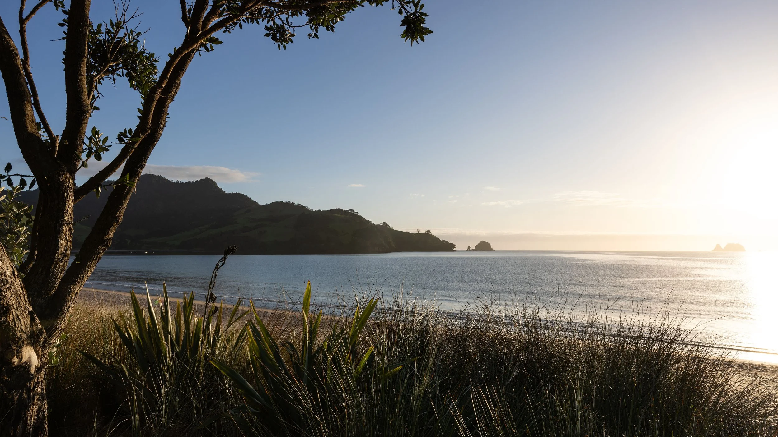 Wharekaho-lifestyle_0000_1.jpg