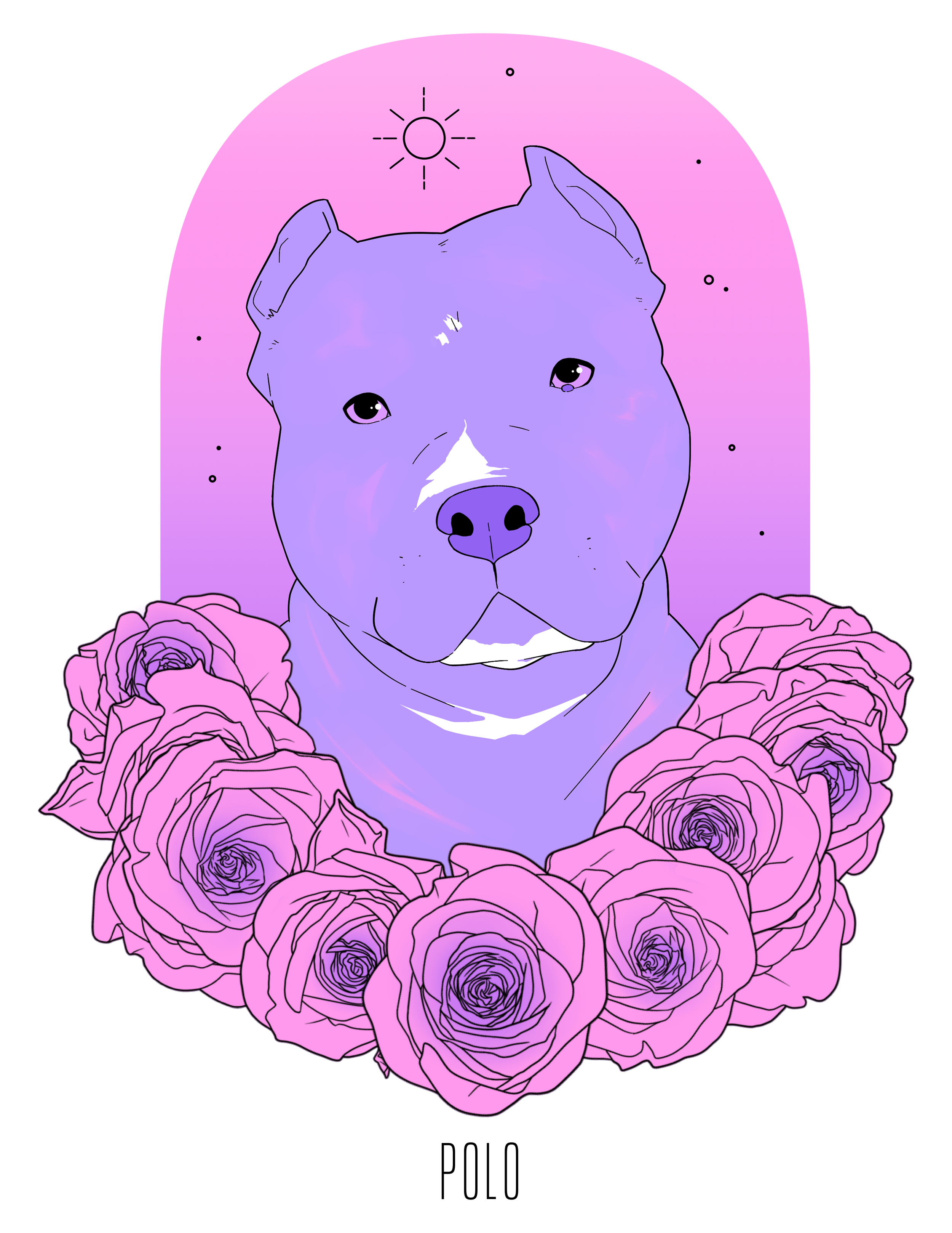 A stylized illustration of a dog with a purple hue, surrounded by a circle of pink roses, with a gradient pink and purple background, the word 'POLO' written below.