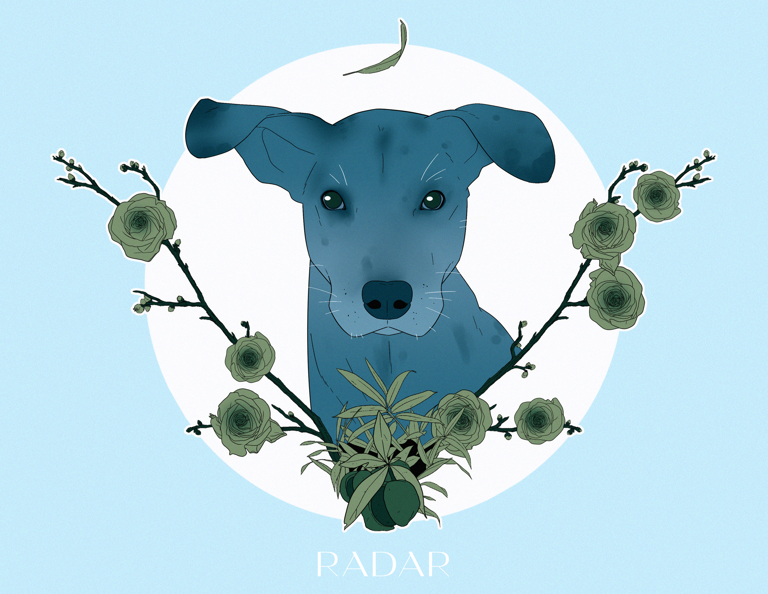 Illustration of a blue dog with green eyes, surrounded by green roses and leafy branches, set against a light blue background with a white circle behind the dog. The word "RADAR" appears at the bottom.