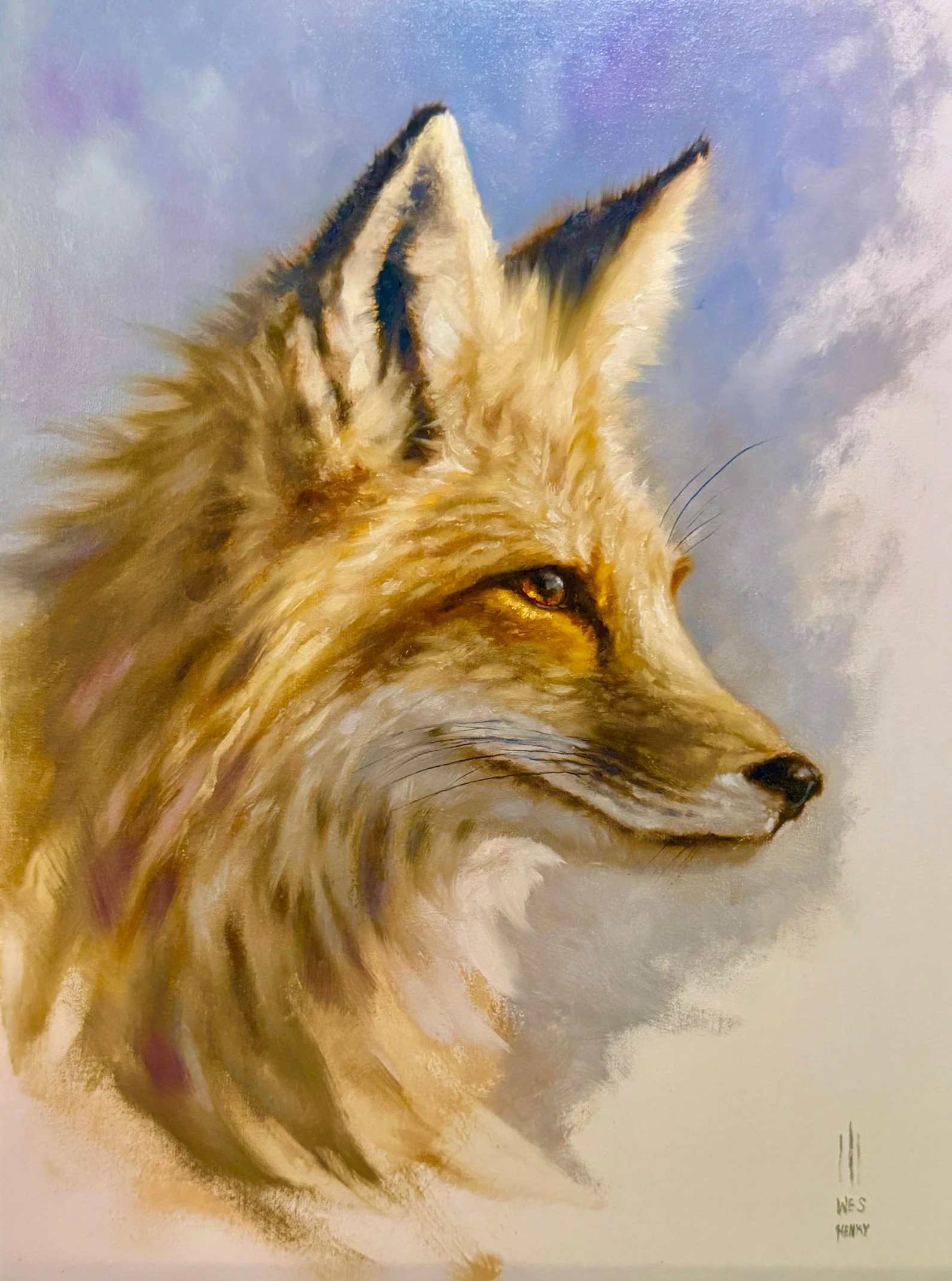 foxBeautiful.jpg