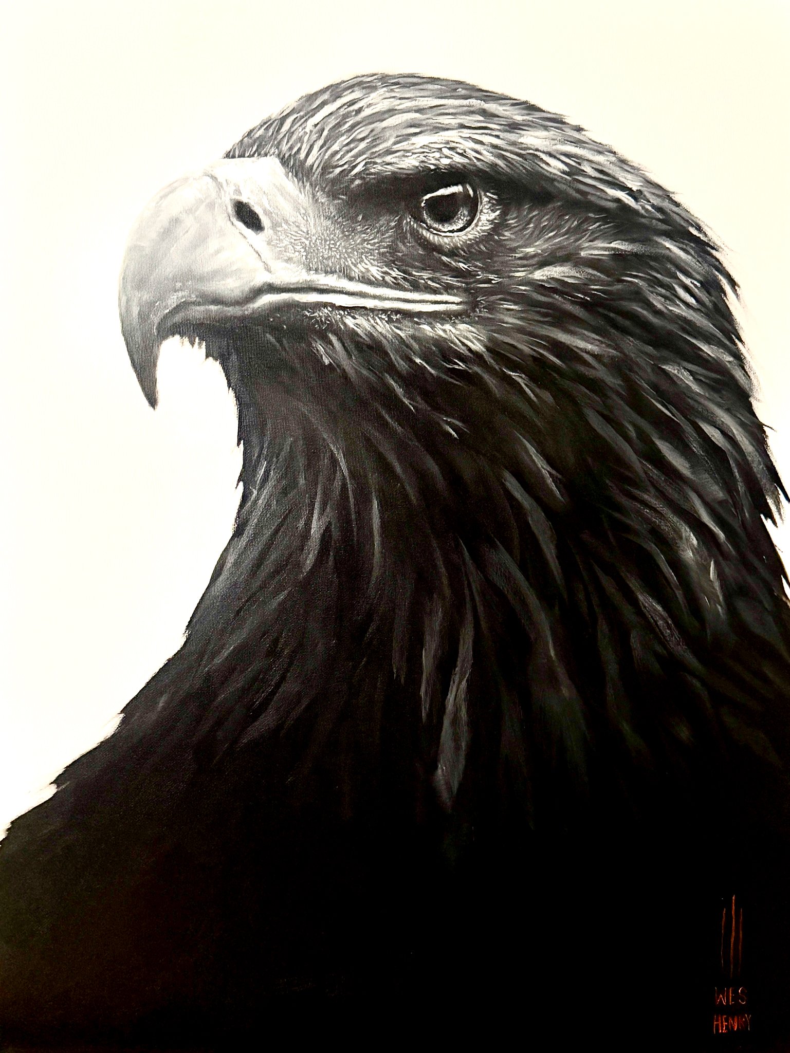 EagleBW.jpg