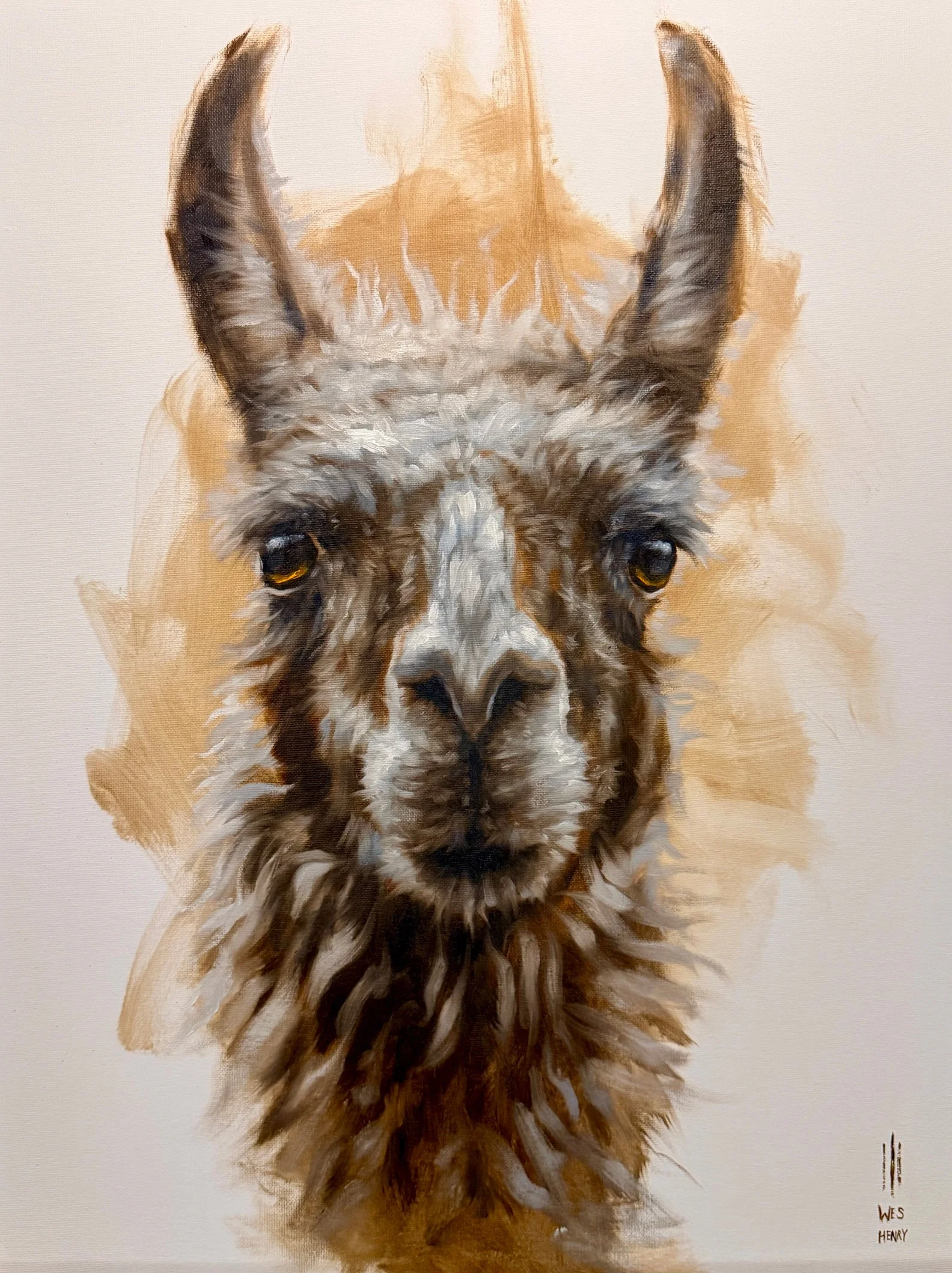 Llama.jpg