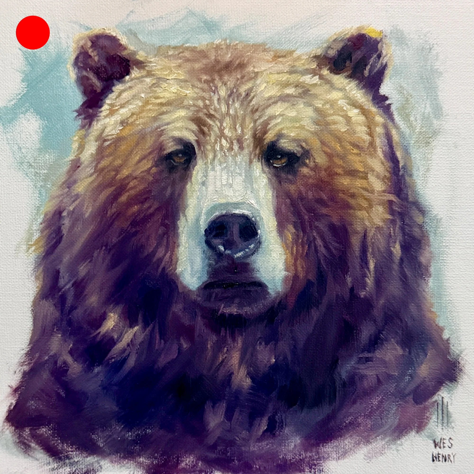 Bear Study - 10x10