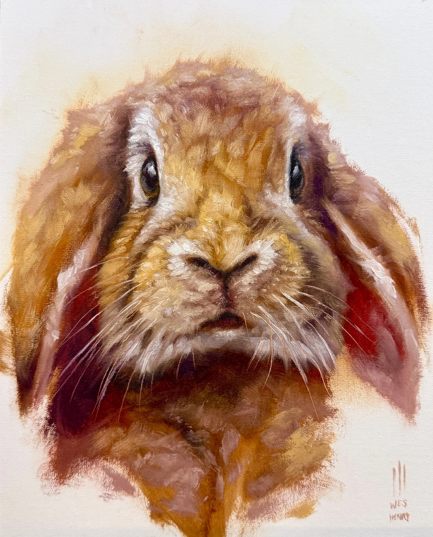 Bunny.jpg