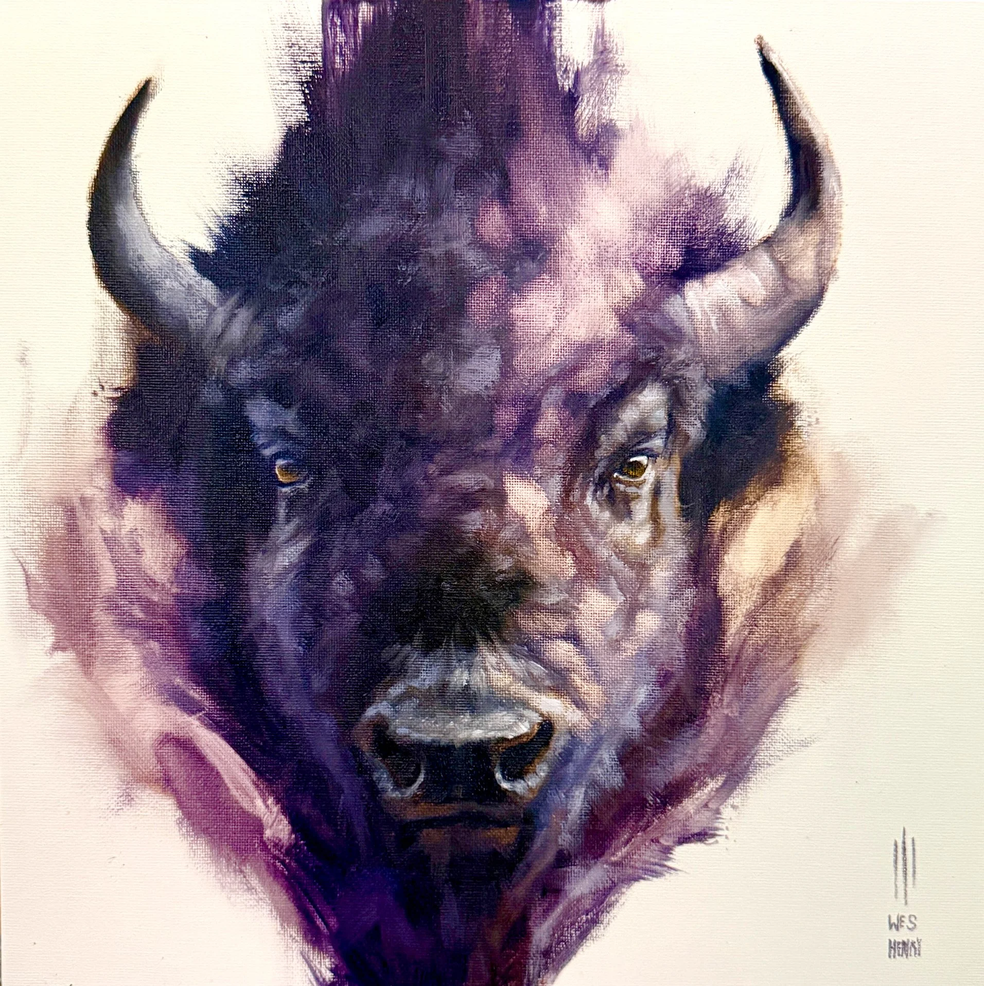 PurpleBison.jpg