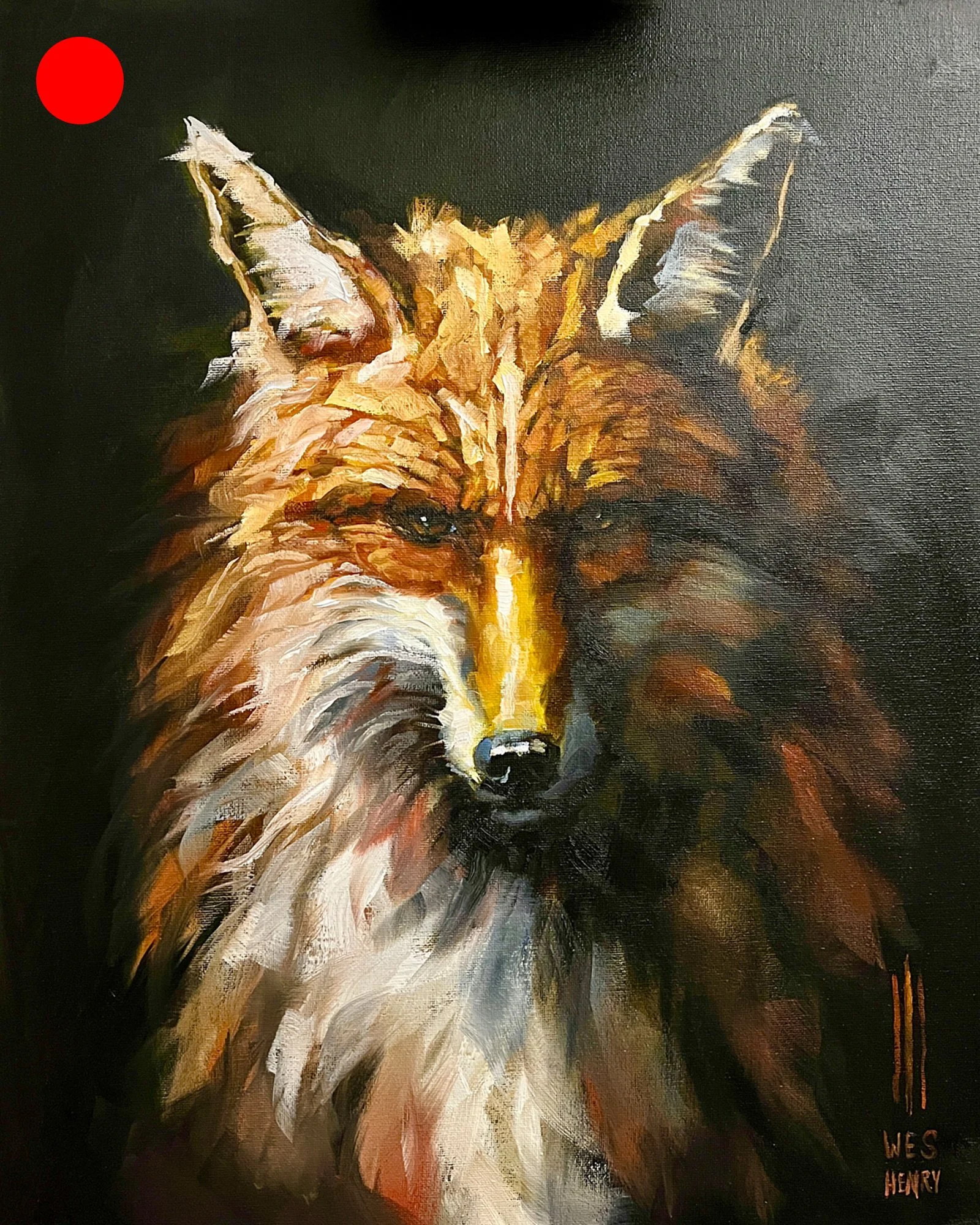 Fox - 16x20