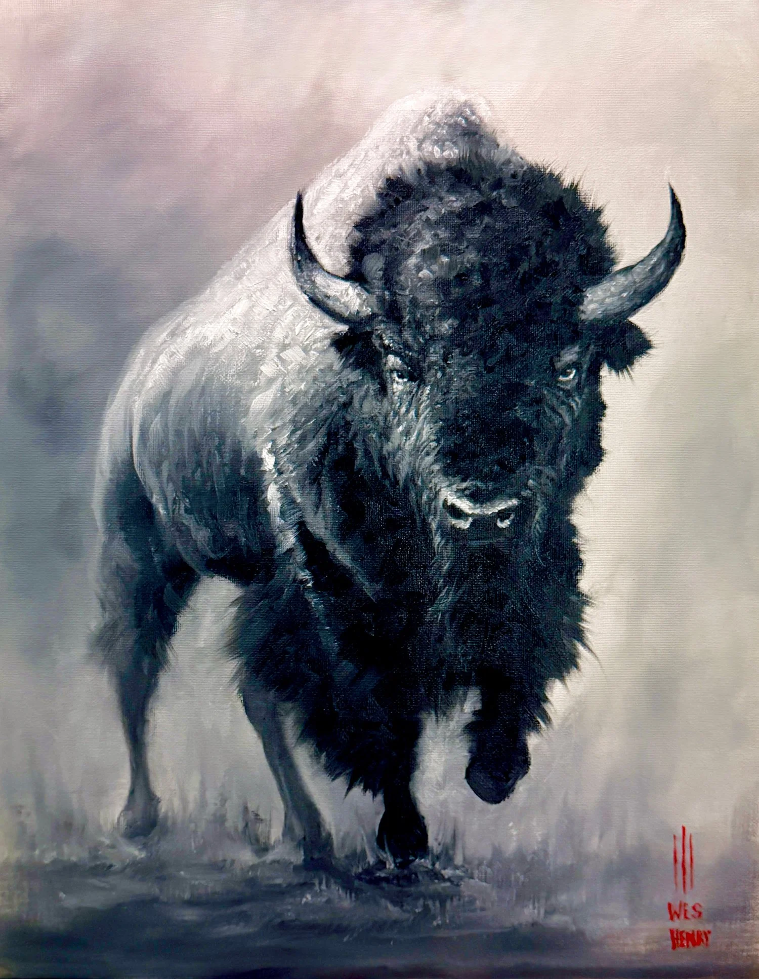 Bisonwalk.jpg