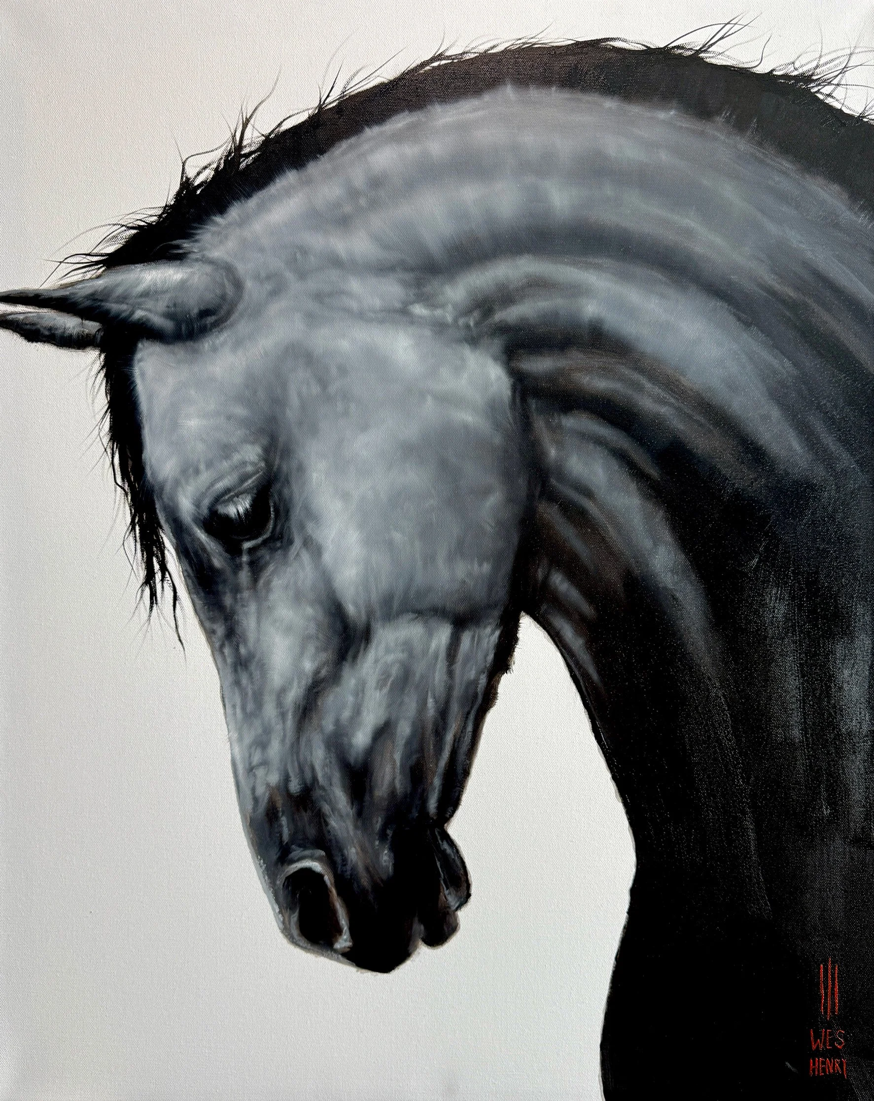 horse.jpg