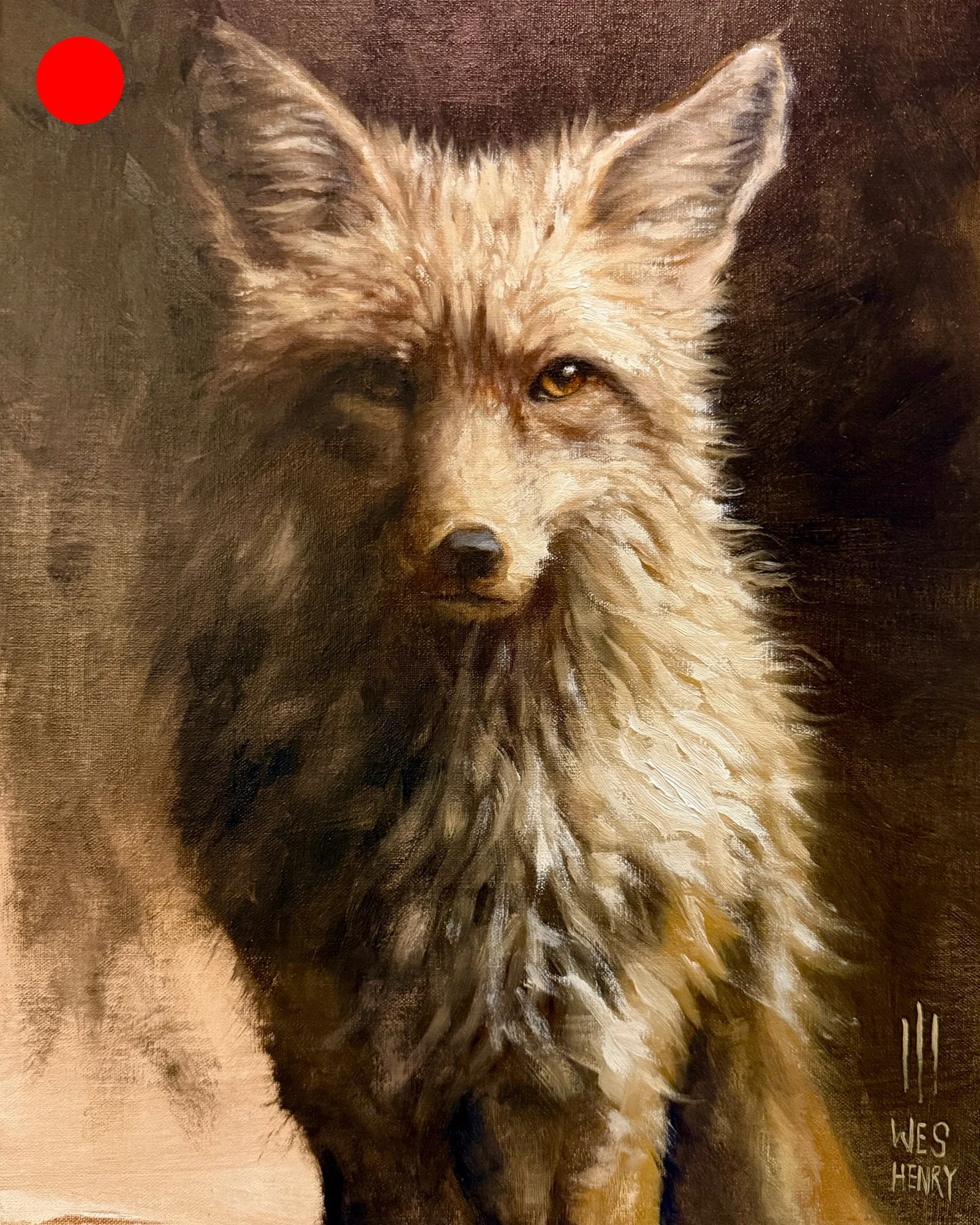 Sunshine Fox - 12x16