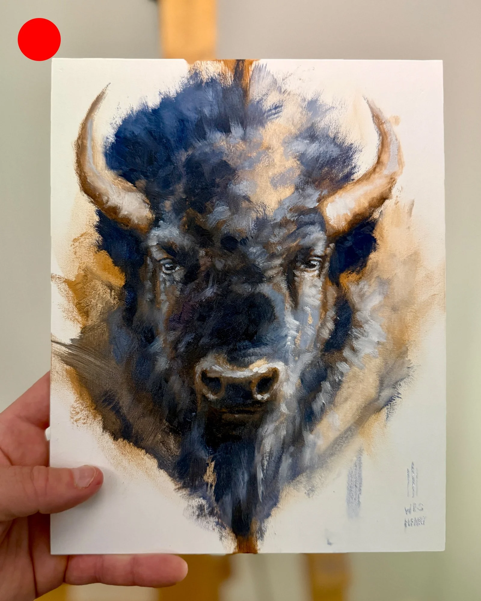 Bison Study - 8x10