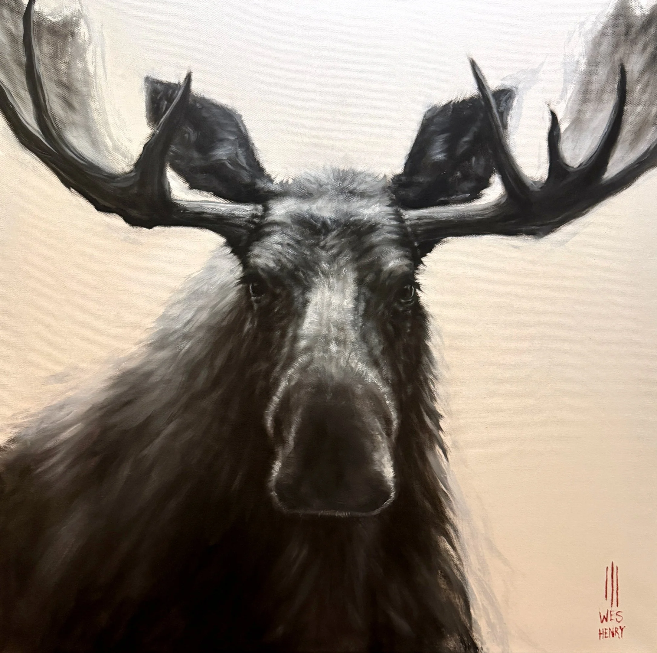 Moose.jpg