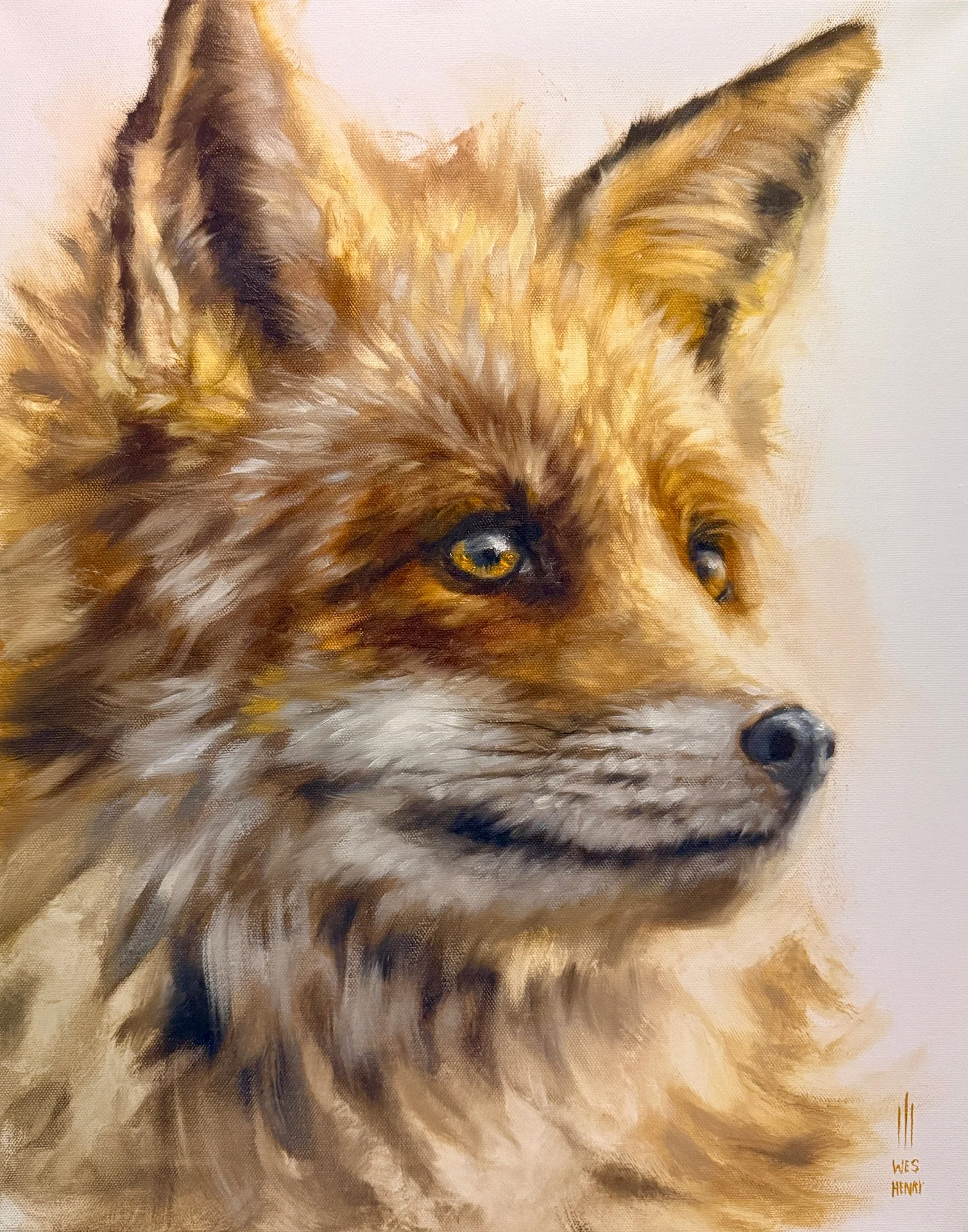 Fox1.jpg