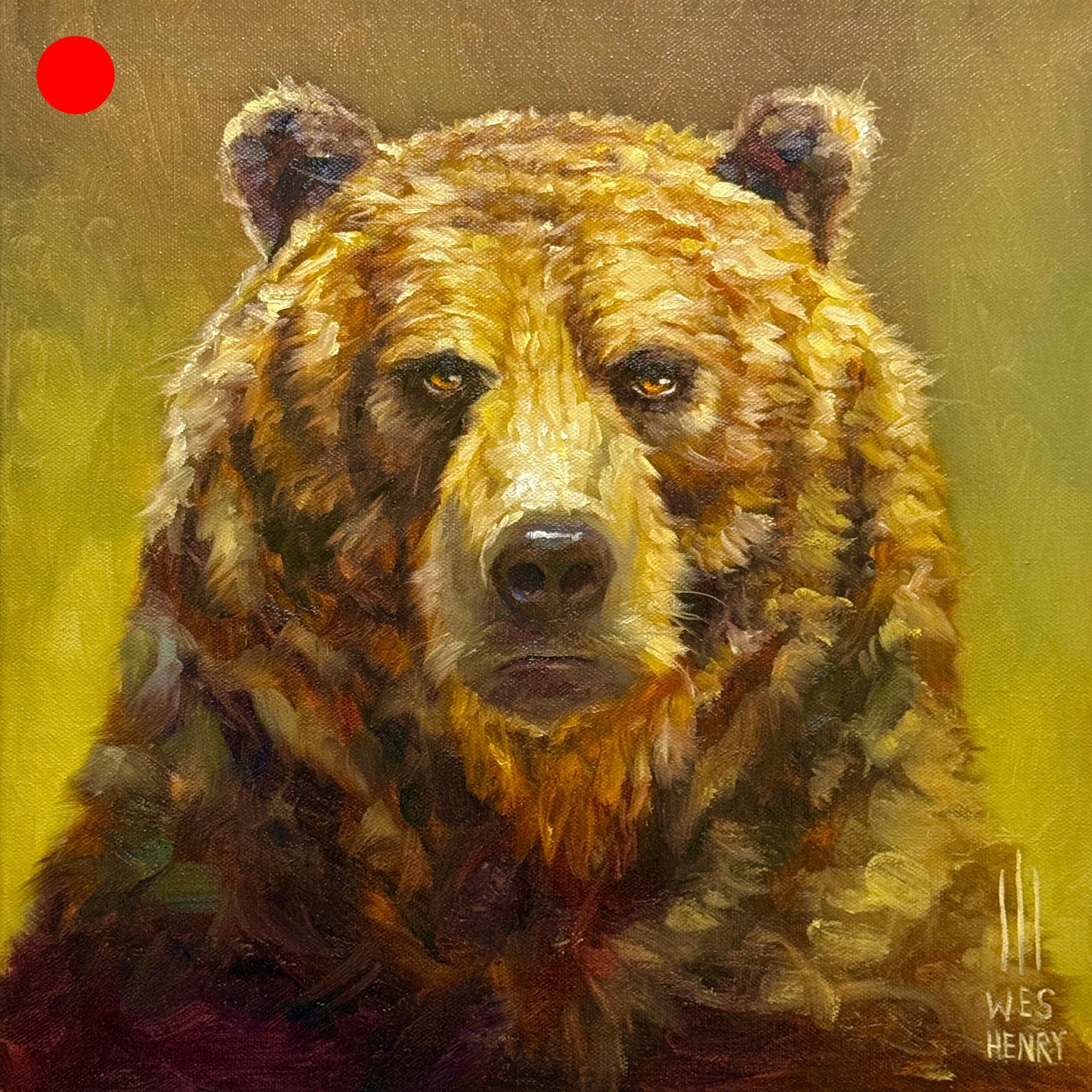 Bubba - 14x14