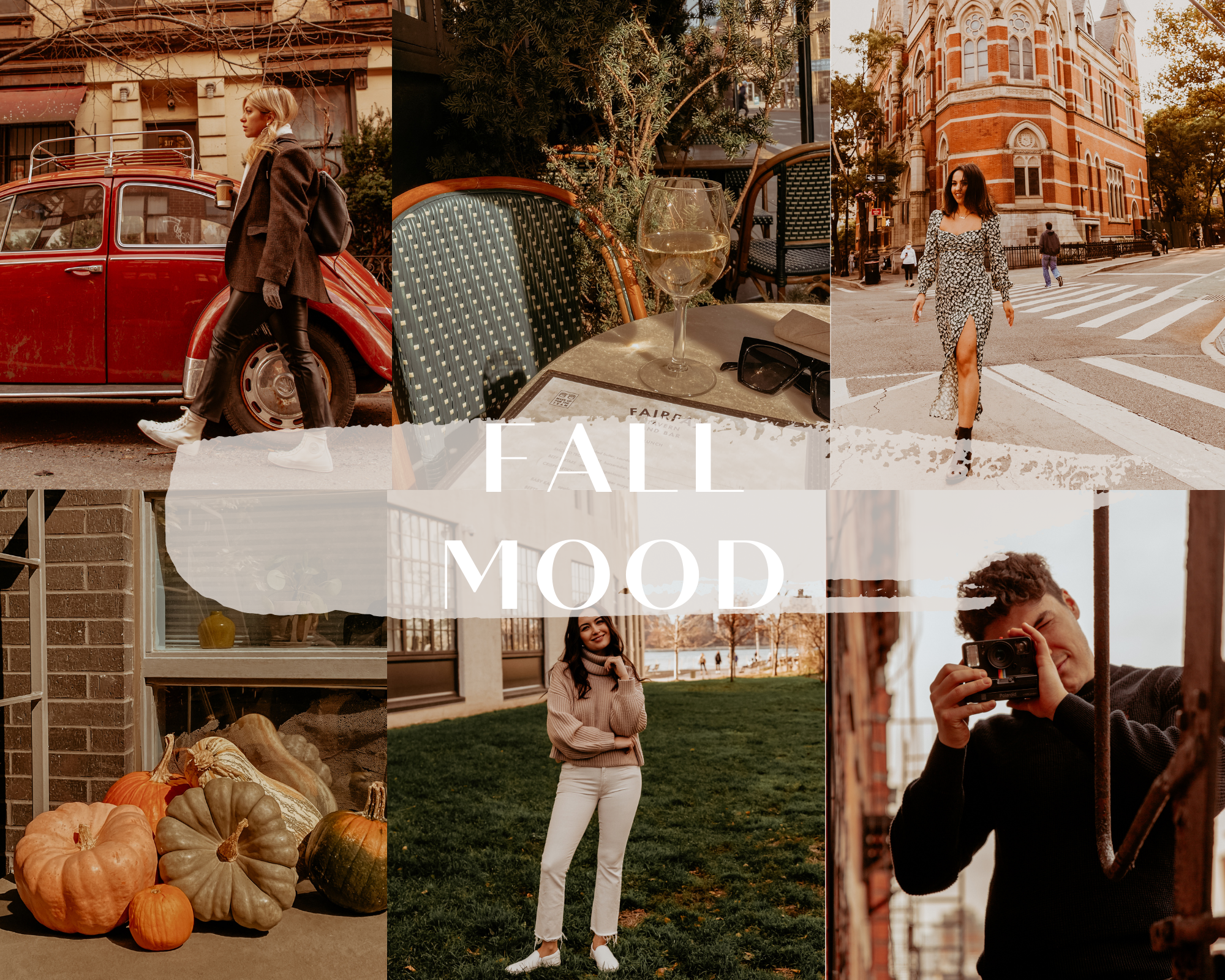 FALL MOOD LIGHTROOM MOBILE PRESETS DNG