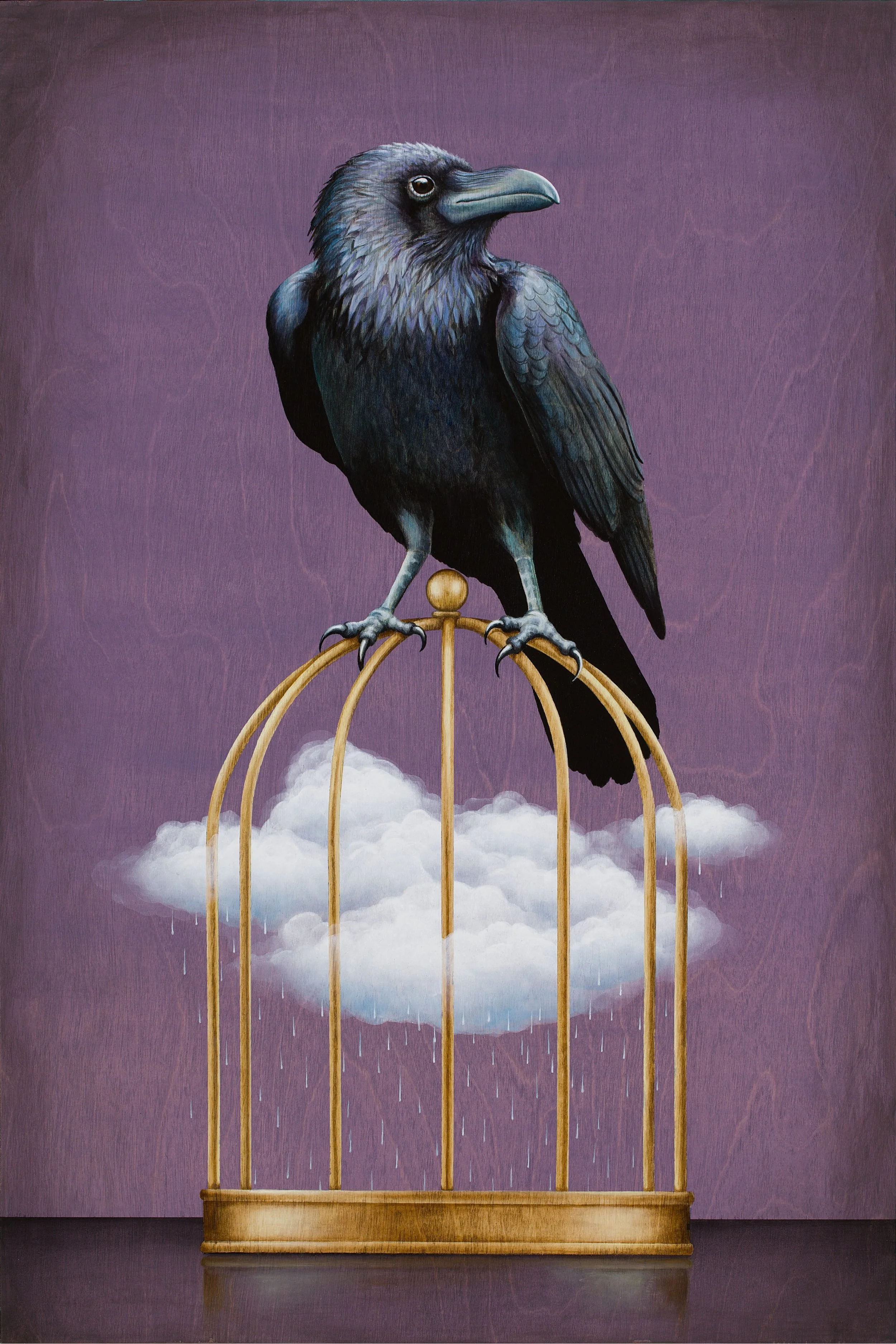 Raven With Cloud.jpg
