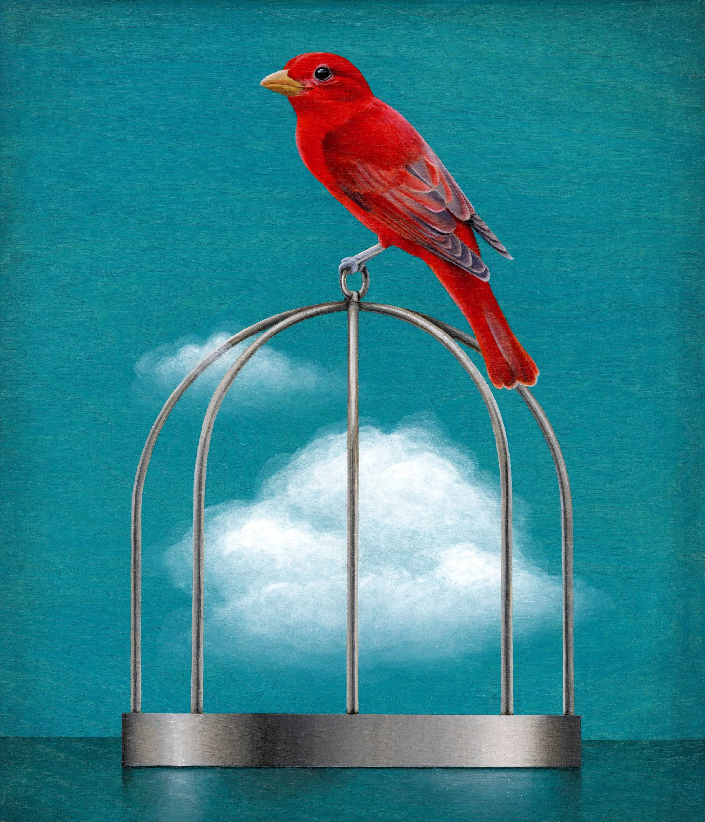 Shavlik- Tanager 12x14.jpg