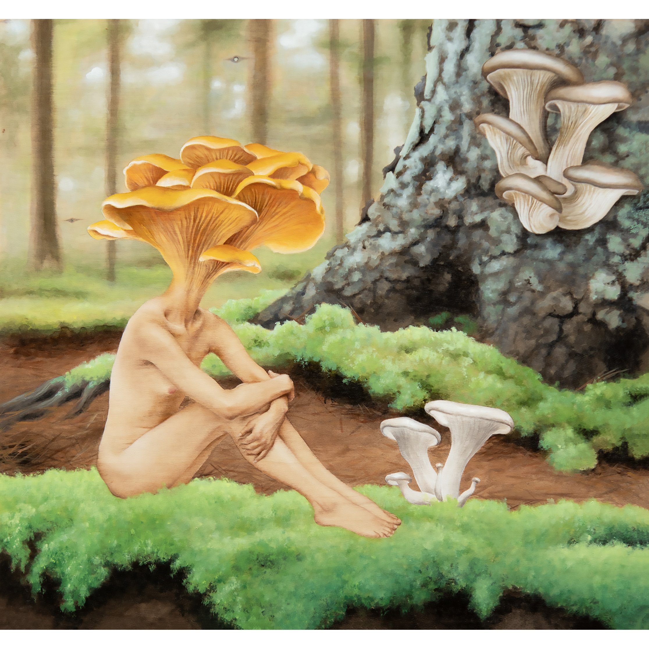 Champignons