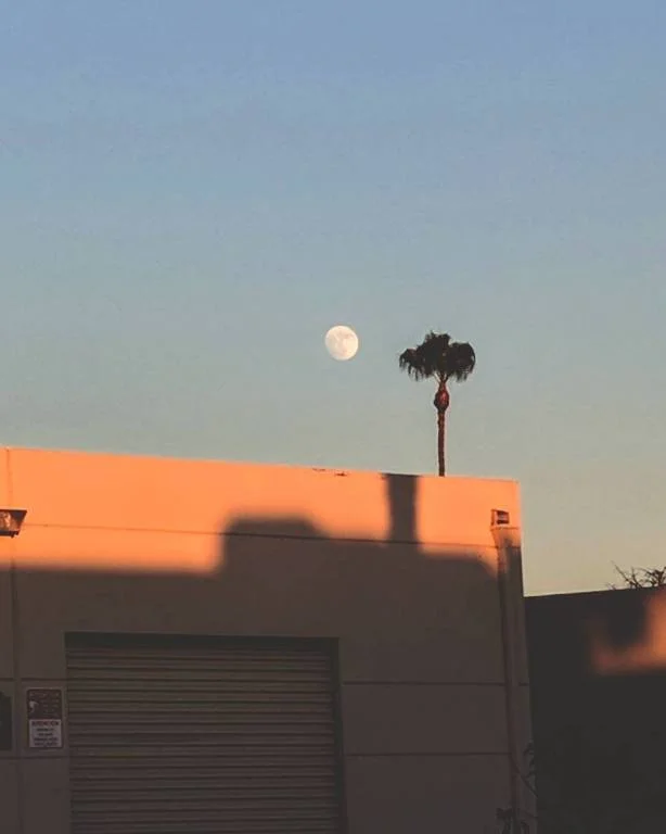 09-moonrise.jpg