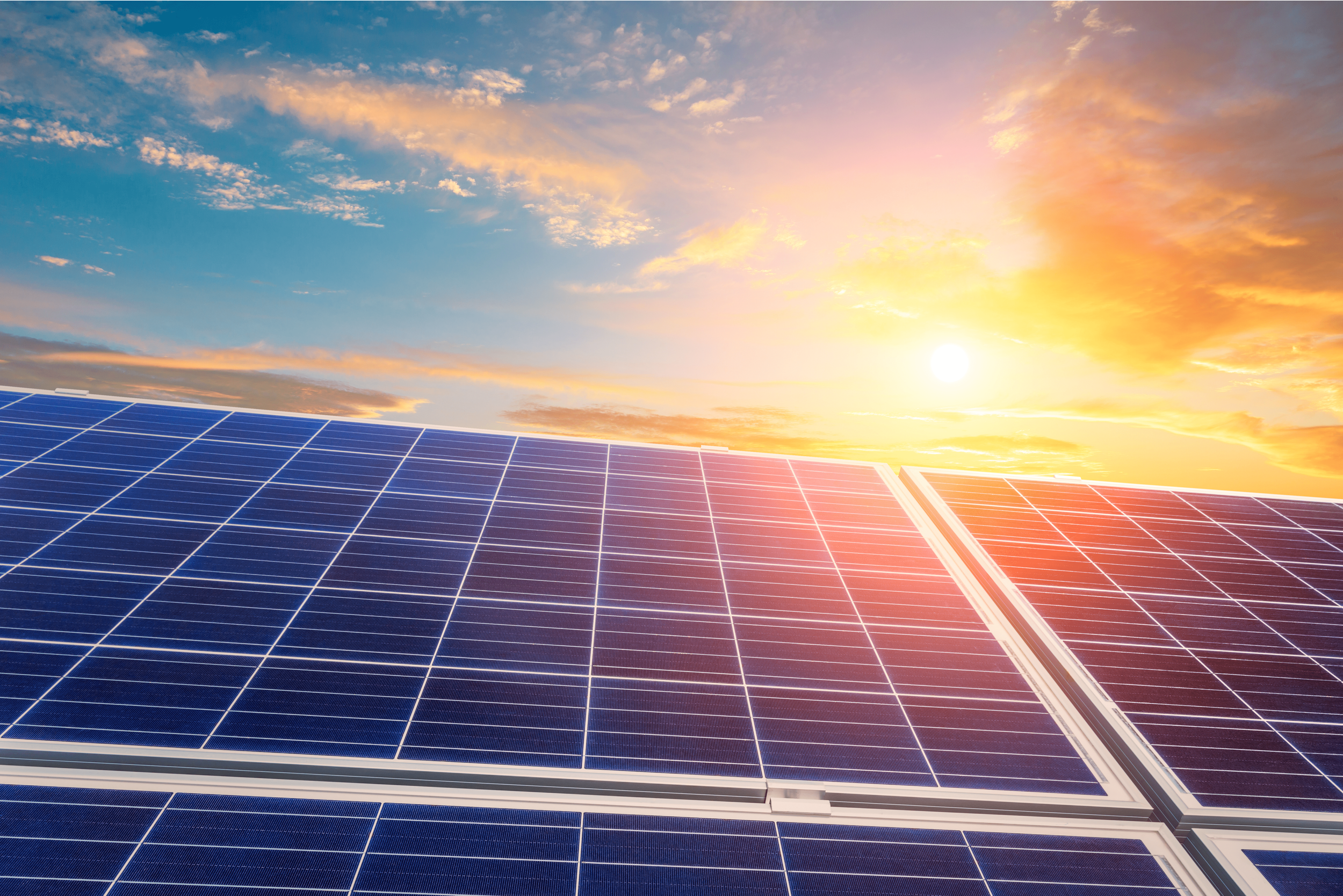 Impactivate: Catholic Climate Covenant and Catholic Energies Take Action on Climate Change