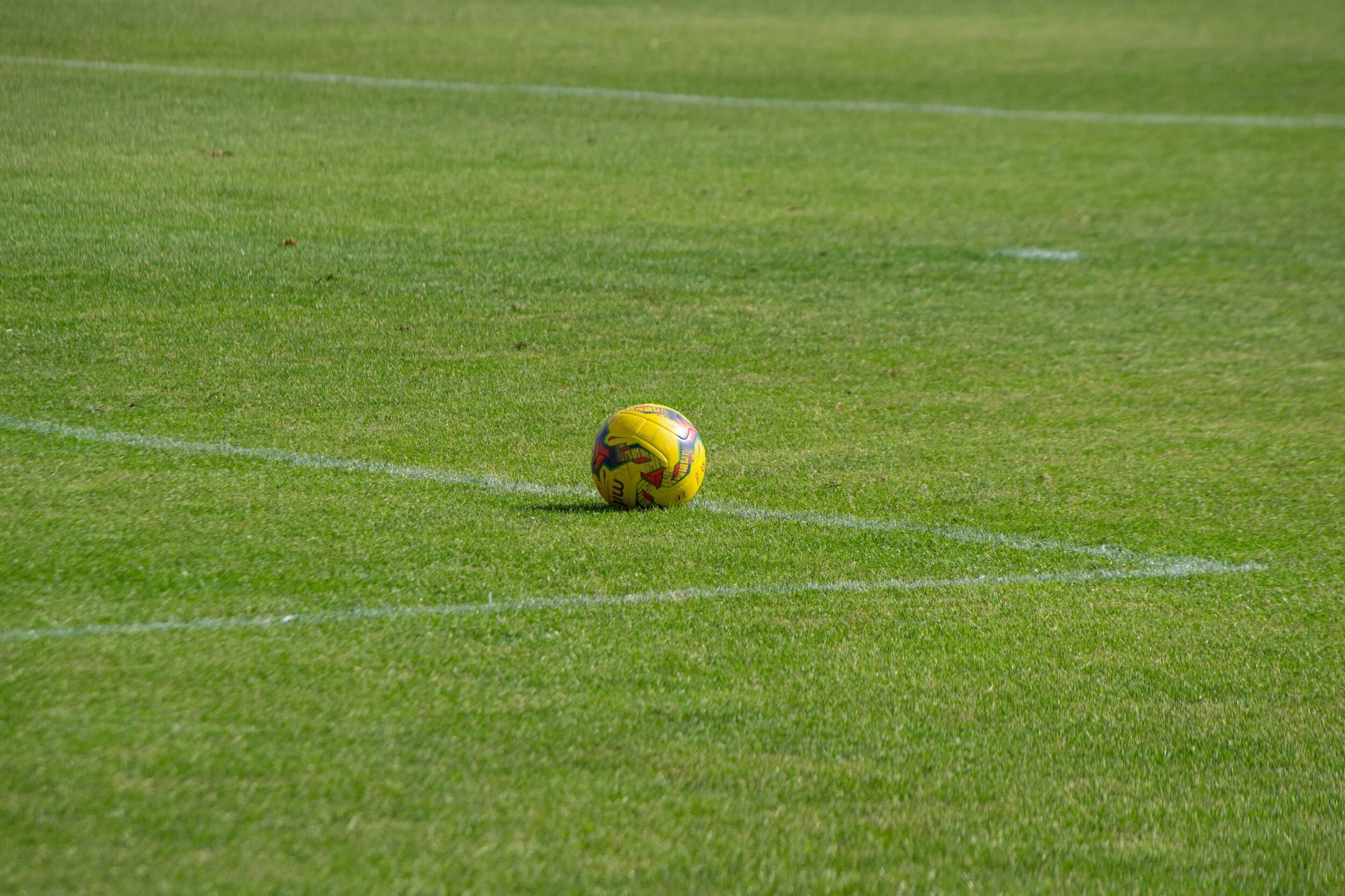 Michael Messom - An Obituary